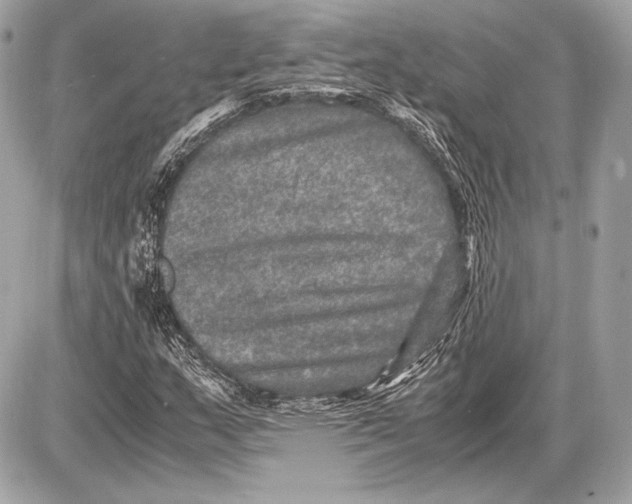 X0000085811159200704091559