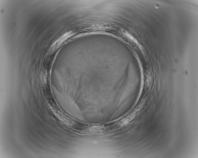 X0000085811161200704091559