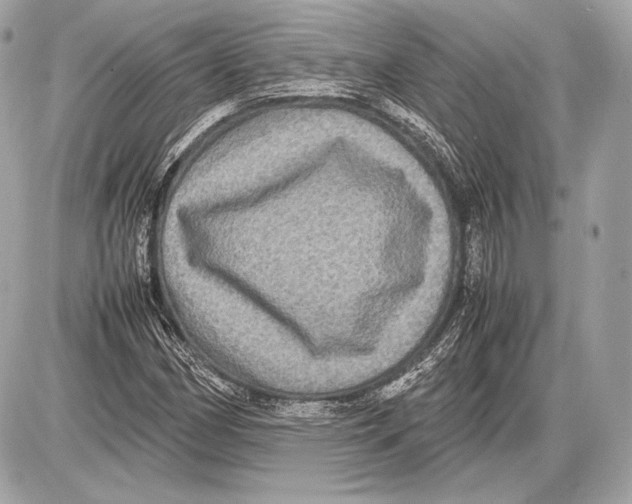 X0000085811162200704091559