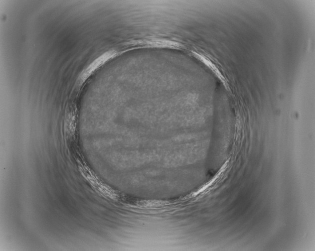 X0000085811163200704091559