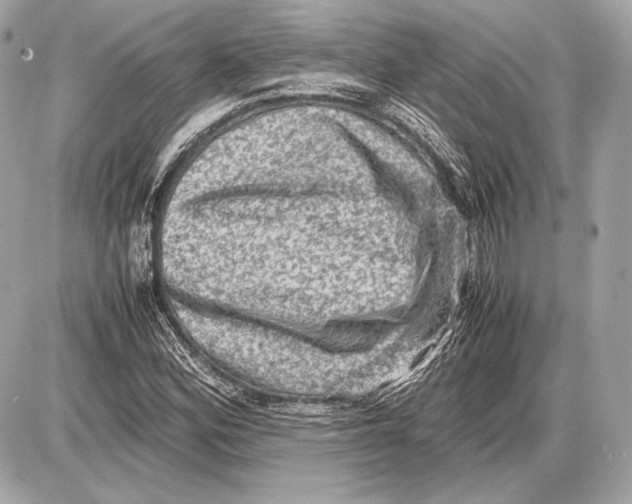 X0000085811164200704091559