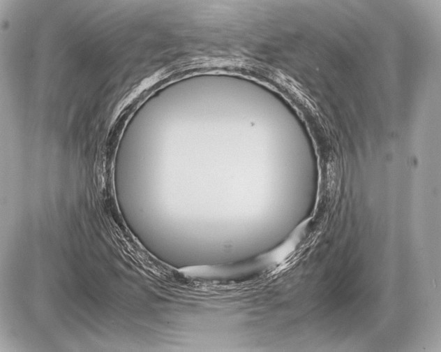 X0000085811165200704091559