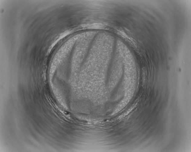 X0000085811166200704091559