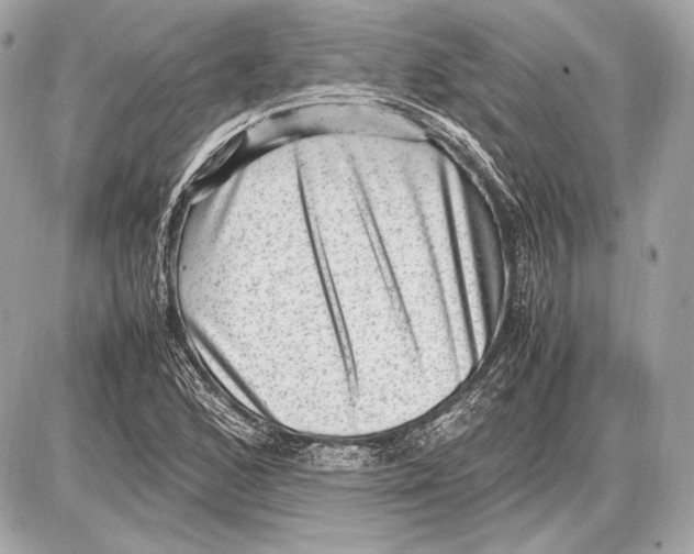 X0000085811168200704091559