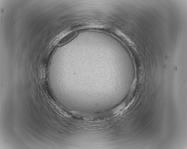 X0000085811169200704091559