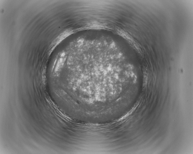 X0000085811170200704091559