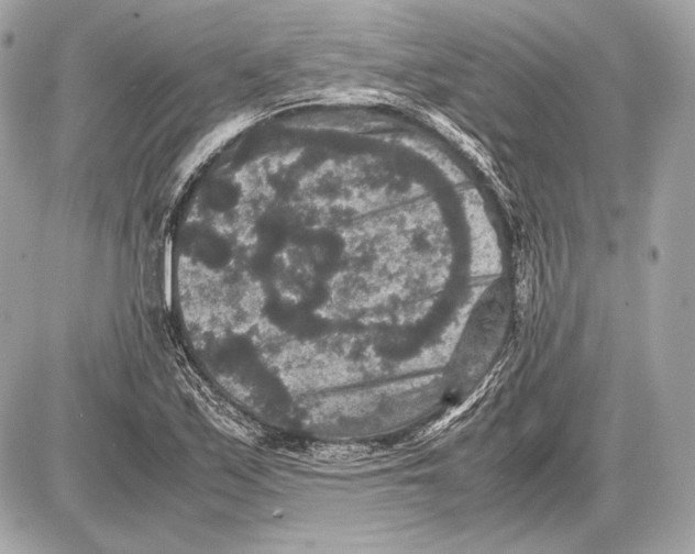 X0000085811171200704091559