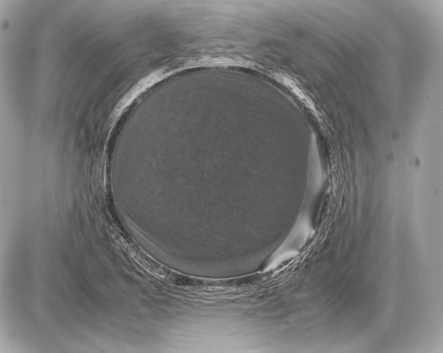 X0000085811173200704091559