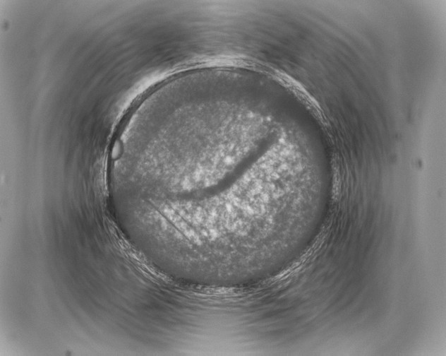 X0000085811174200704091559