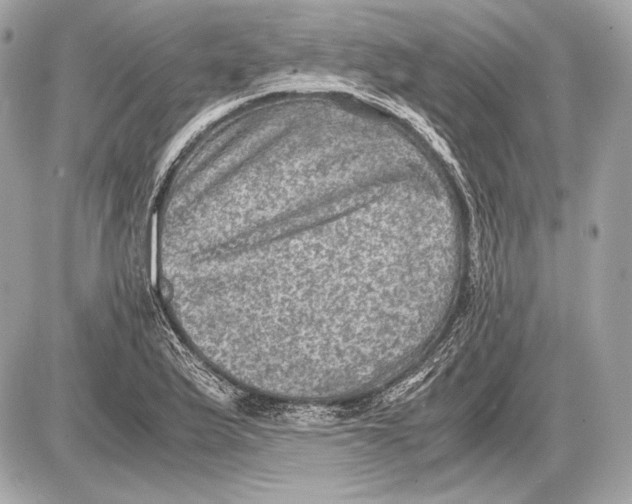 X0000085811175200704091559