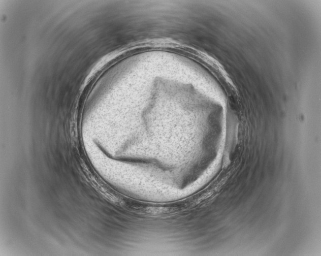 X0000085811176200704091559