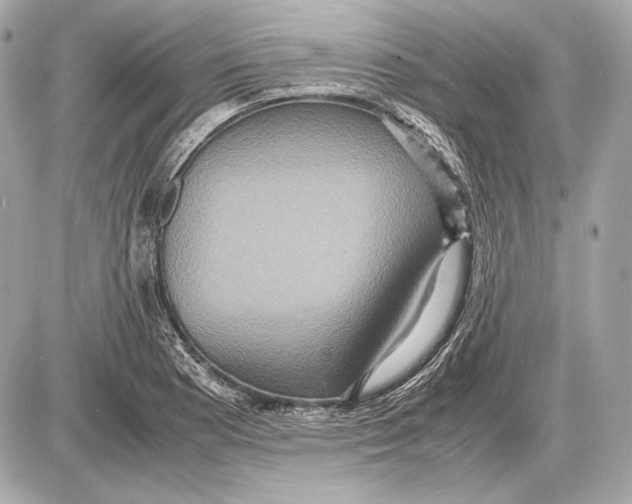 X0000085811177200704091559