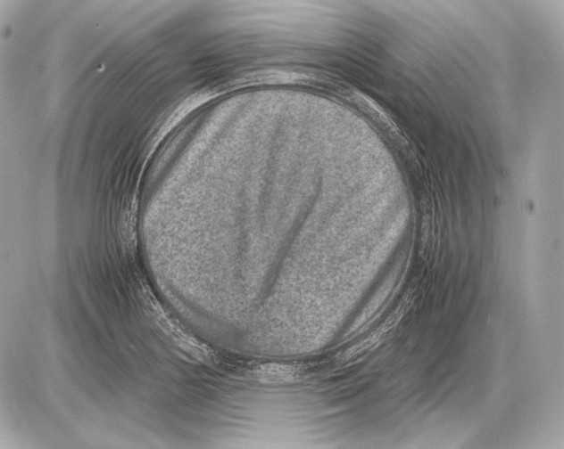 X0000085811178200704091559