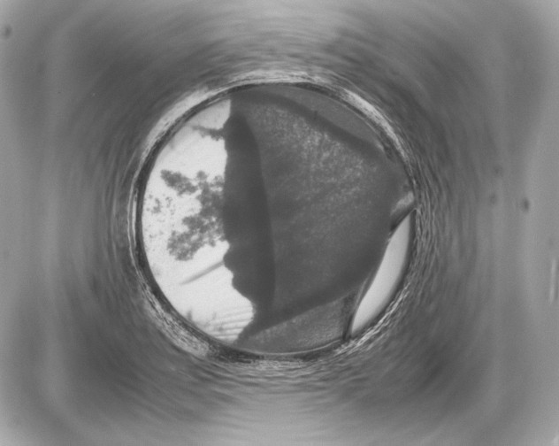 X0000085811179200704091559