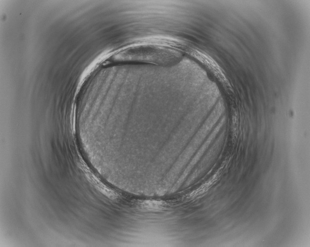 X0000085811180200704091559