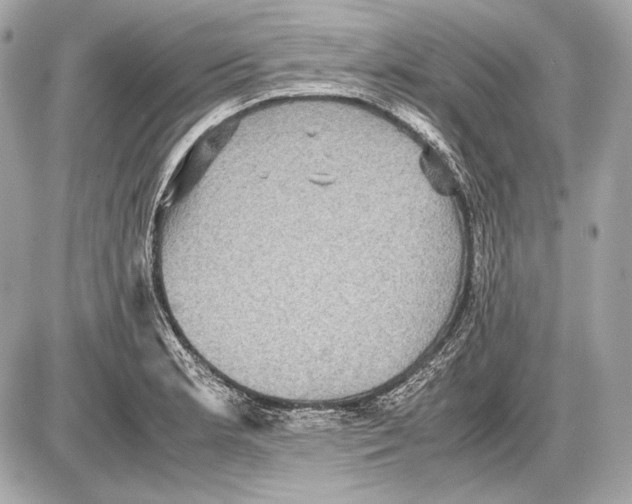 X0000085811181200704091559