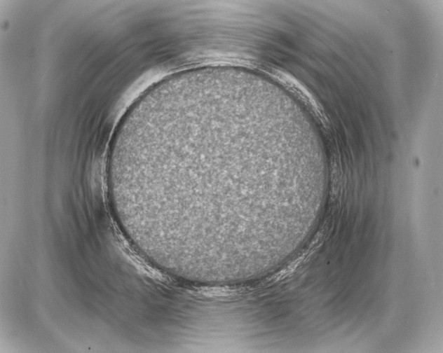 X0000085811182200704091558