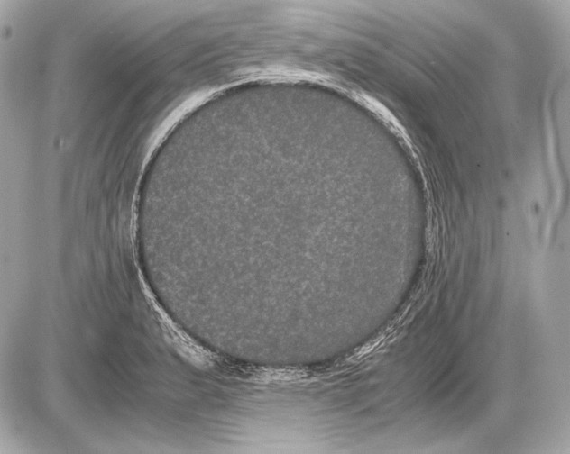 X0000085811183200704091558