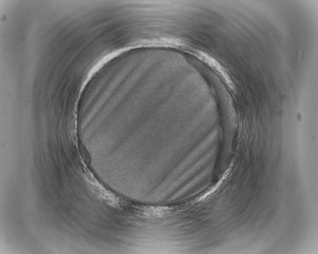 X0000085811184200704091558