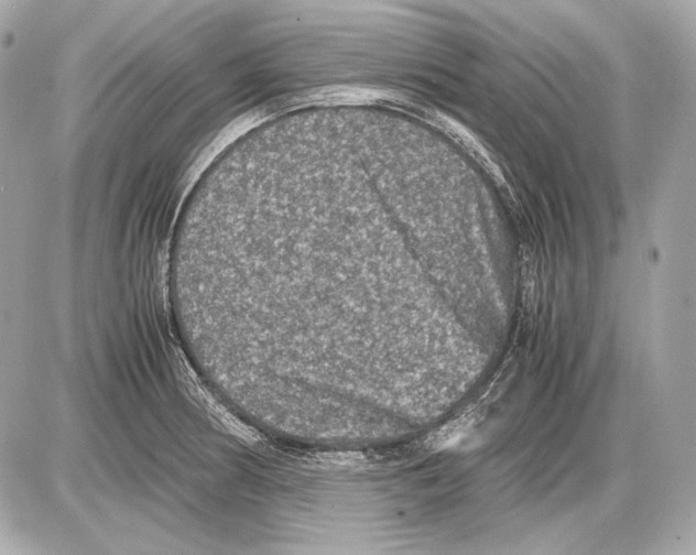 X0000085811186200704091558