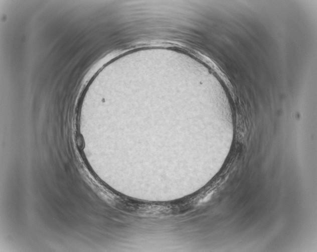 X0000085811187200704091558