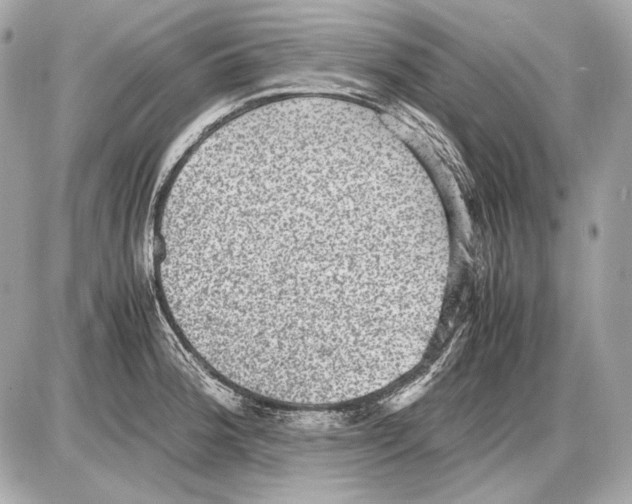 X0000085811188200704091558