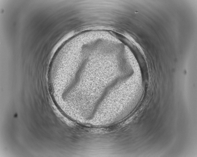 X0000085811189200704091558