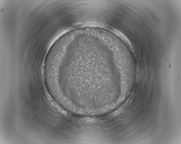 X0000085811190200704091558