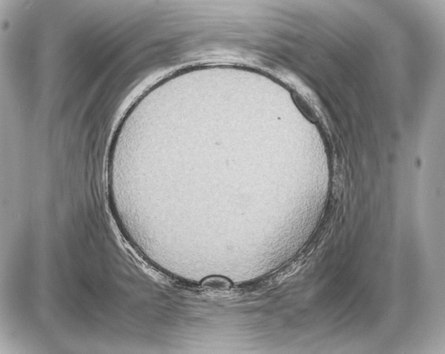 X0000085811191200704091558