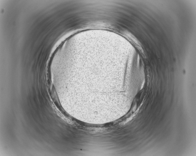 X0000085811192200704091558