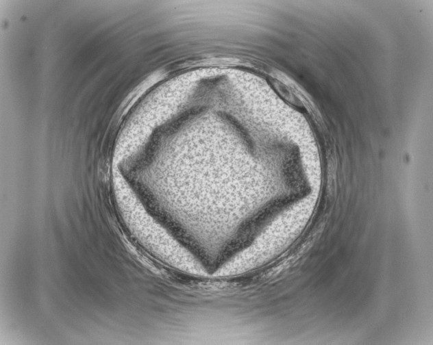 X0000085811193200704091558