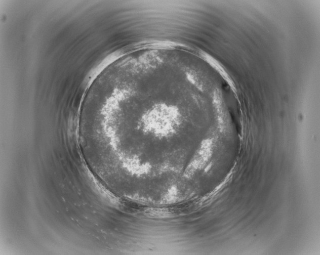 X0000085811194200704091558