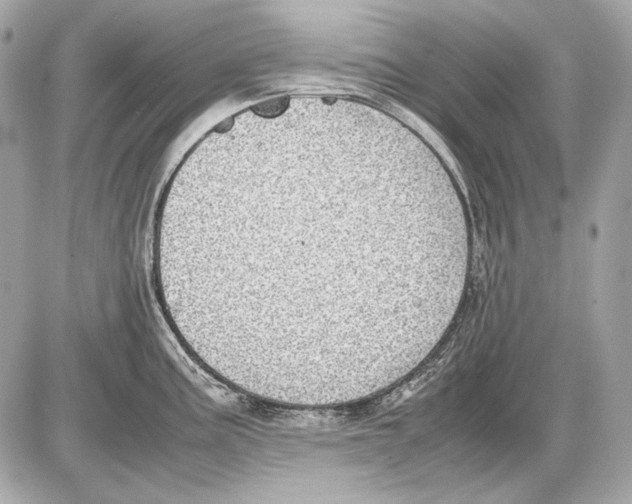 X0000085811195200704091558