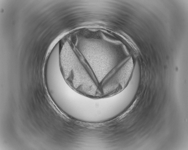 X0000085811196200704091558