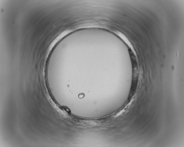 X0000085811197200704091558