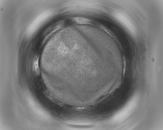 X0000085811198200704091558