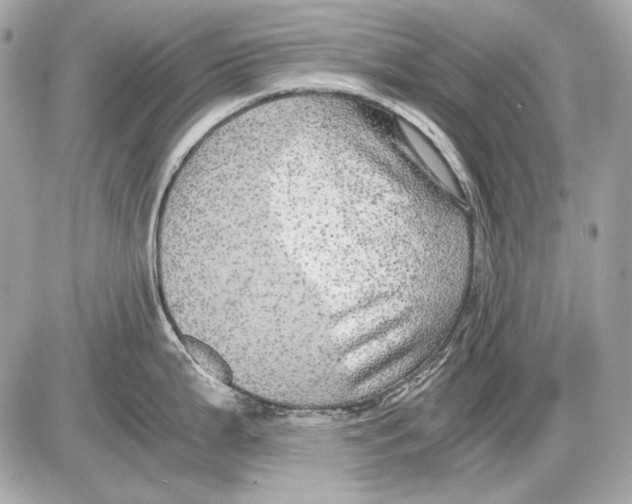 X0000085811199200704091558