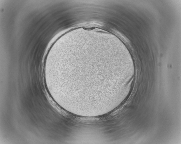 X0000085811200200704091558