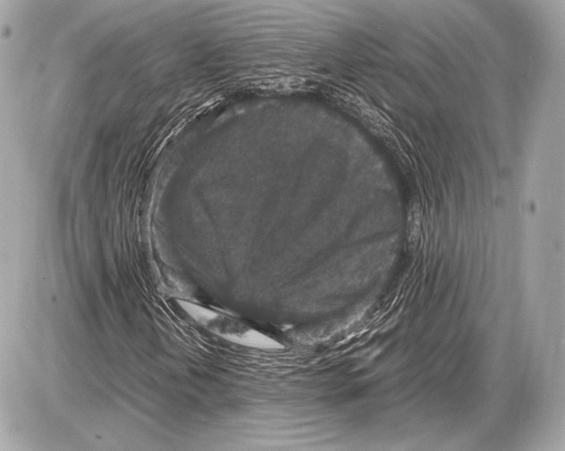 X0000085811202200704091557