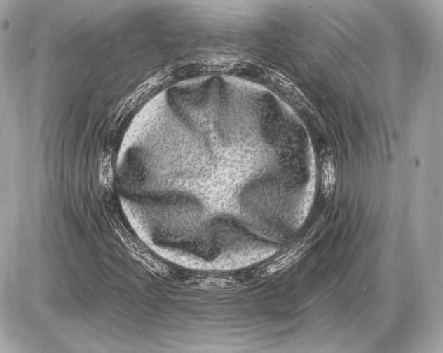 X0000085811204200704091557