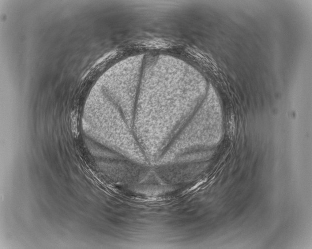 X0000085811205200704091557