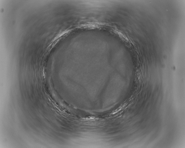 X0000085811206200704091557