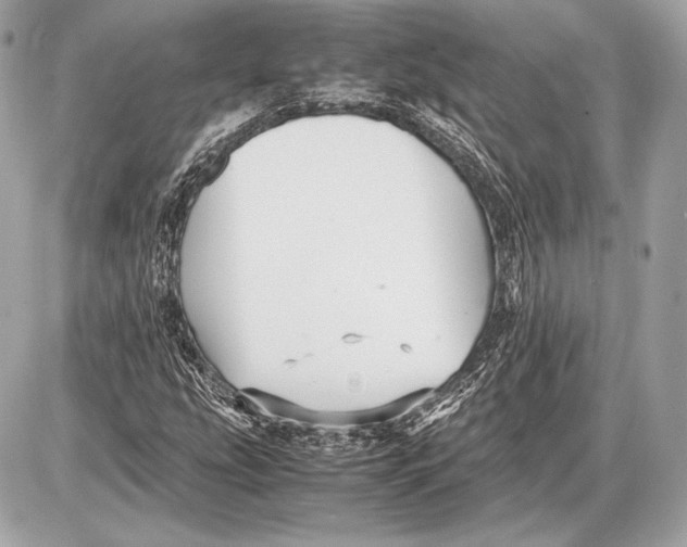 X0000085811207200704091558