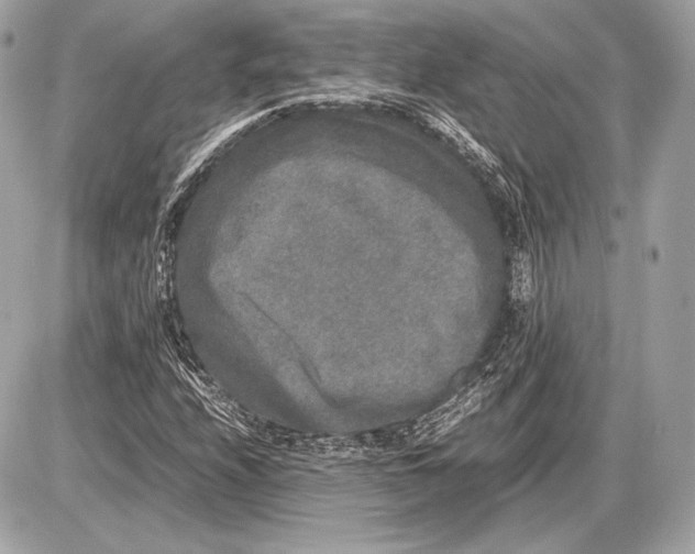 X0000085811208200704091558