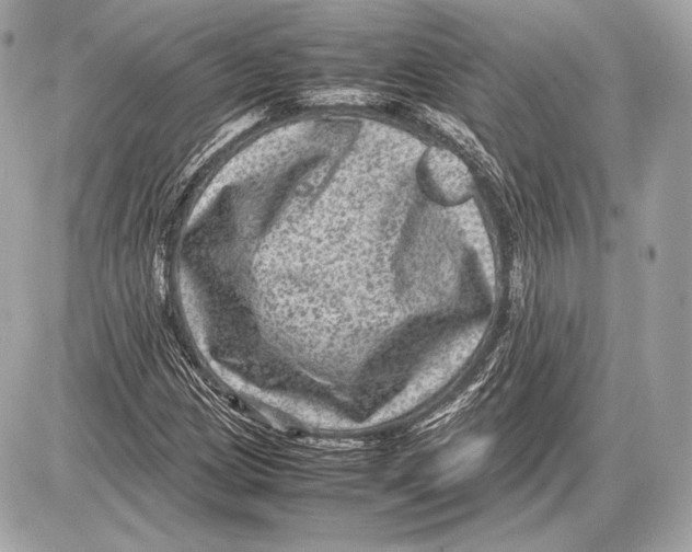 X0000085811209200704091558