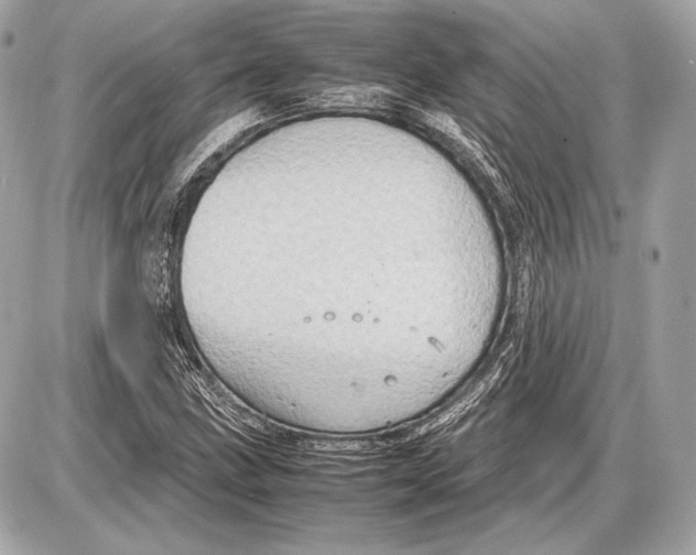 X0000085811211200704091558