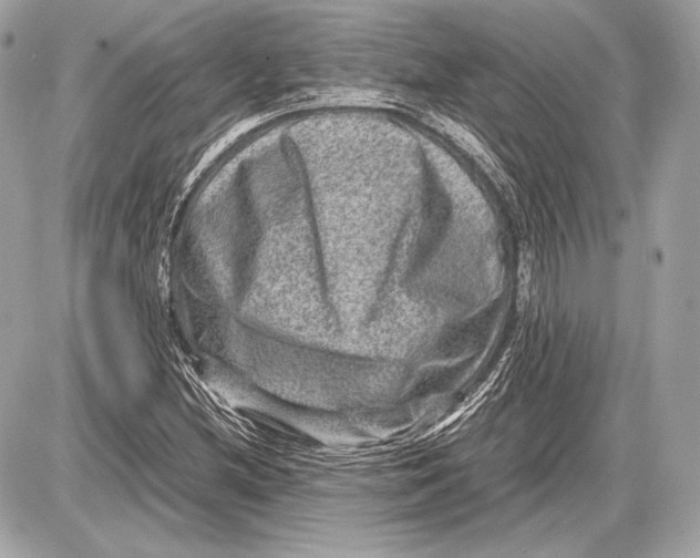 X0000085811212200704091558