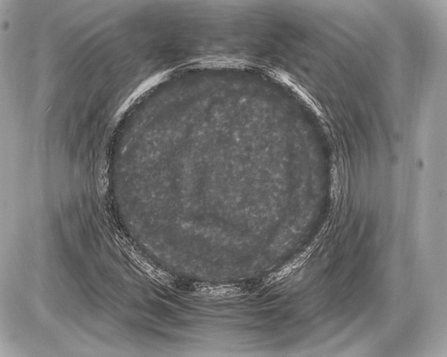 X0000085811213200704091558