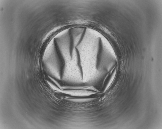 X0000085811214200704091558