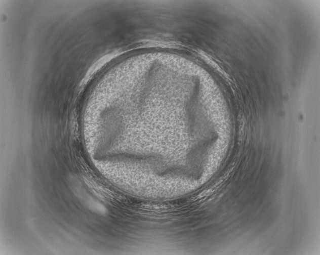 X0000085811215200704091558